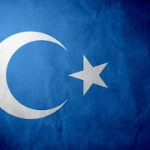 Doğu Türkistan Bayrağı