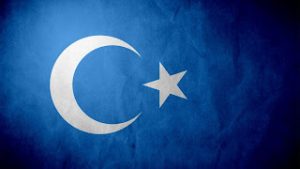 Doğu Türkistan Bayrağı