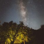 Hayattan Kopukçasına