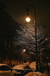 Gece Doğa Manzarası