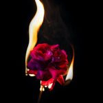 Son Günün Yağışı